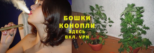 apvp Лагань