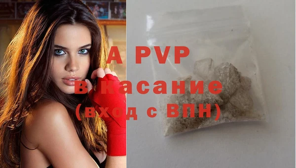 стаф Малоархангельск