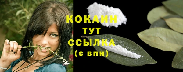 эйфоретик Ладушкин