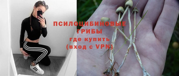 Альфа ПВП Малоярославец