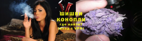 apvp Лагань