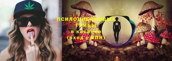 эйфоретик Ладушкин