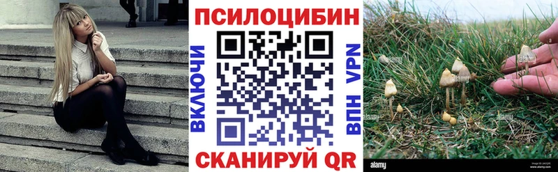 где можно купить наркотик  Нижние Серги  Псилоцибиновые грибы Cubensis 